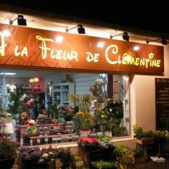 ECLAIRAGE PAR SPOTS HALOGENES